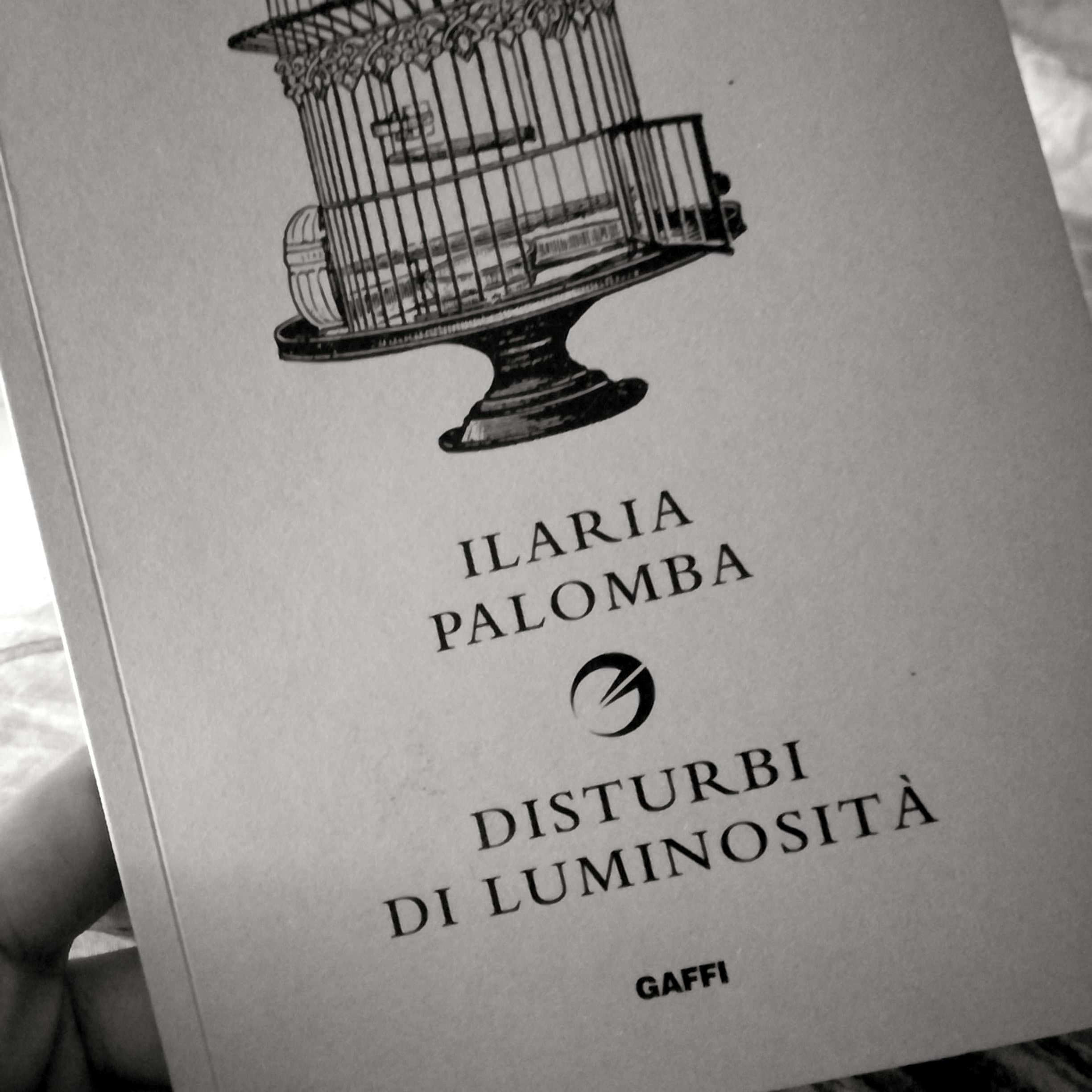 53032404_587957161681062_8687706477361627136_n