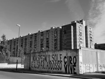 73211014_554335051986920_4650827459850141696_n