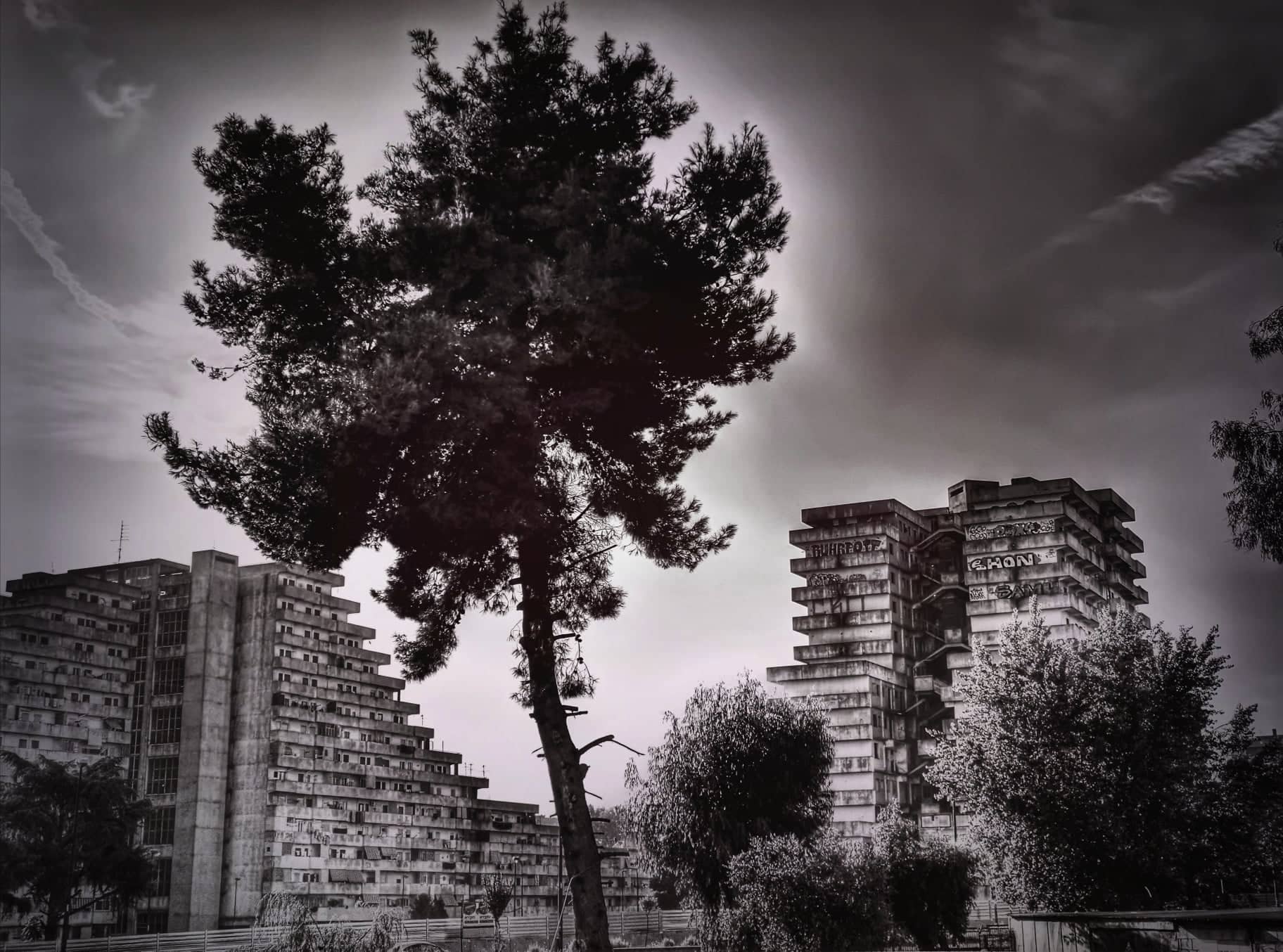 73349211_461970264418514_7259286455921410048_n