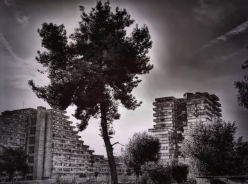 73349211_461970264418514_7259286455921410048_n