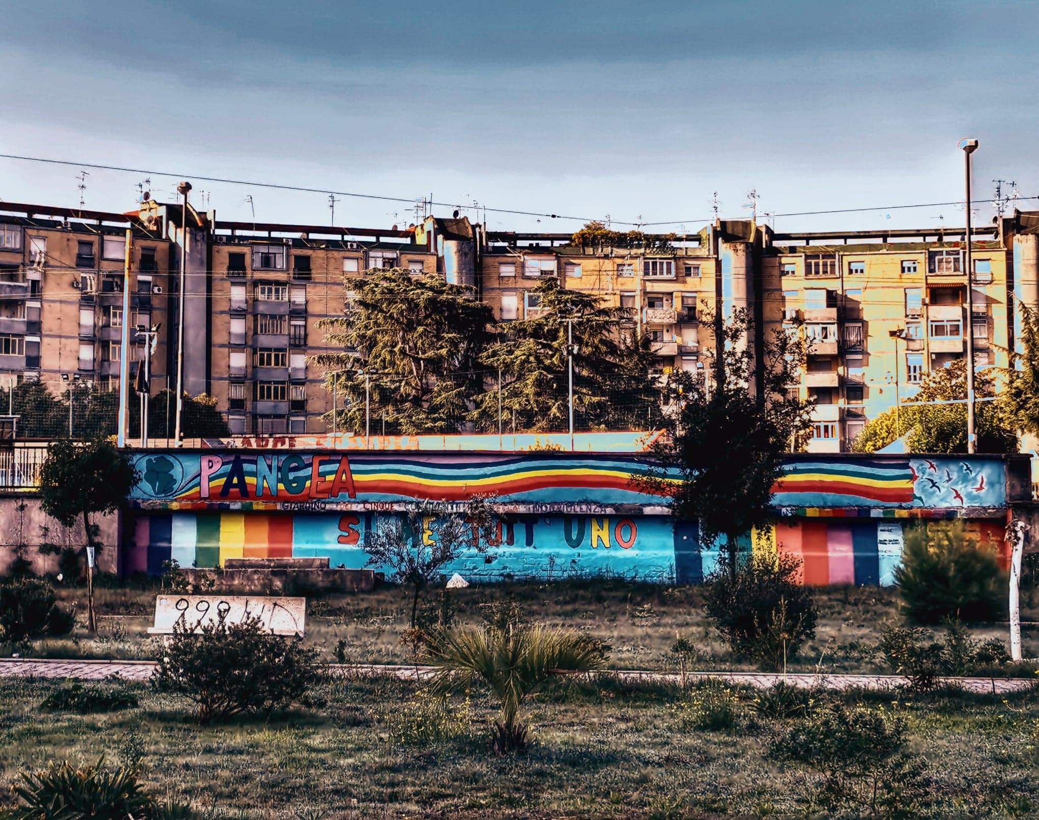 73524664_472937193570977_127510840214552576_n