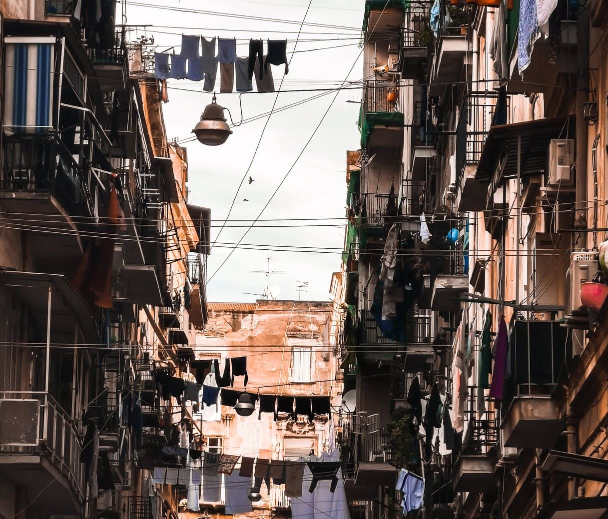 93520392_1107258102957132_9230477424590848_n